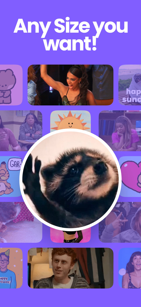 A collection of animated GIF and video widgets in various shapes and sizes.