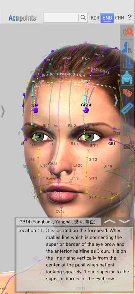 Acupoints app screen showing facial acupuncture points and meridian lines on a 3D model