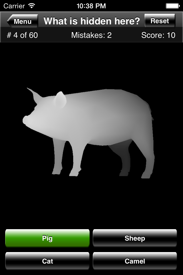 Magic Eye Stereogram Quiz - 3D pig silhouette revealed in Magic Eye Stereogram Quiz gameplay