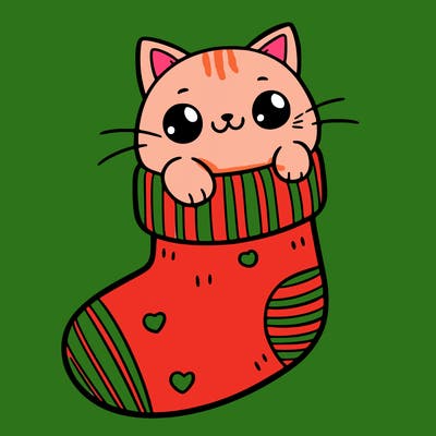 cute cat in a sock