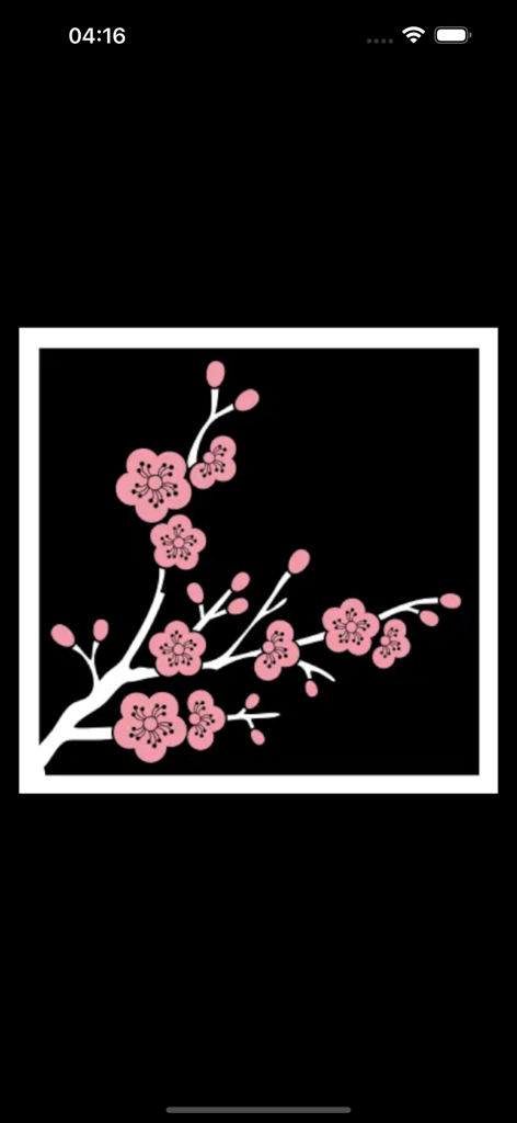 Sushi Naka Naka - Sushi Naka Naka app splash screen with pink cherry blossoms
