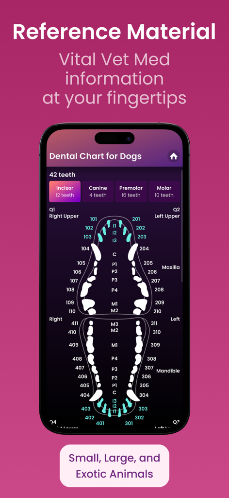 Vetpocket - Vet Calc & Drugs - Mobile app screen showing a detailed canine dental chart with labeled teeth for veterinary clinical reference.
