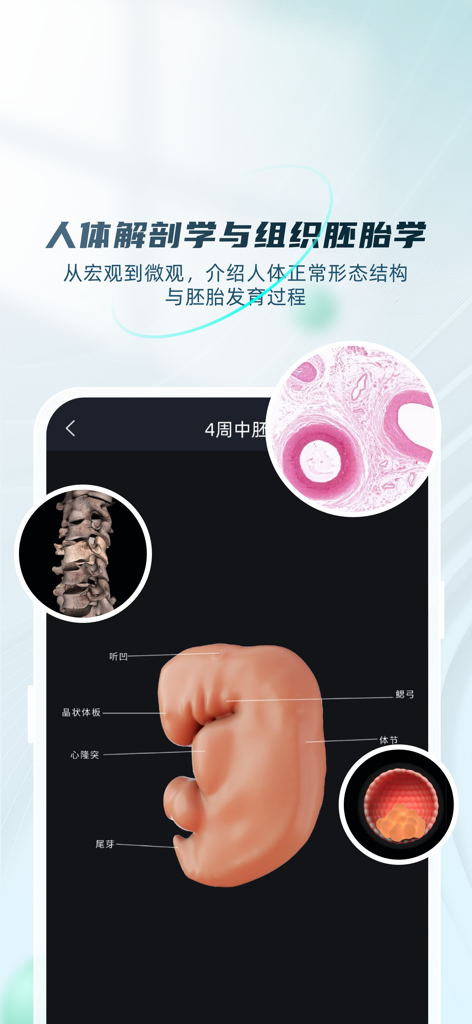 数字人解剖学STEM系统 - A mobile app screen showing a 3D model of a human embryo and histological tissue samples for medical education.