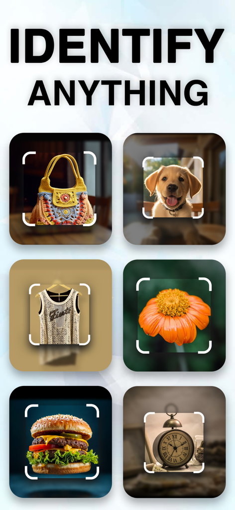 Screenshot der Lens Scan App mit verschiedenen Objekten wie einem Welpen, einer Handtasche und einer Blume mit dem Text 'Identifiziere alles'