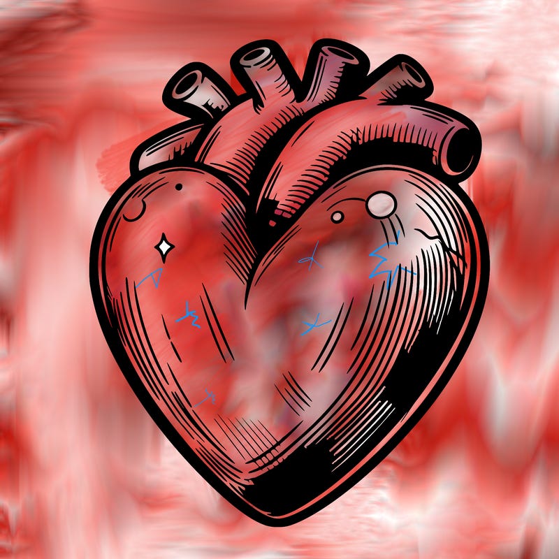 realistic heart