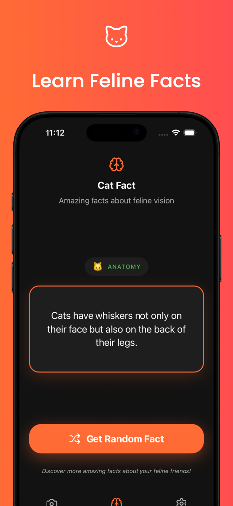 CatLens: See Through Cat Eyes - CatLens app interface showing an educational fact about cat anatomy and whiskers.