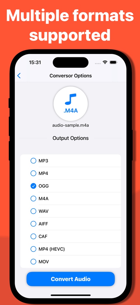 Audio Converter: MP3, WAV, OGG - Screenshot der Audio Converter App, die verfügbare Ausgabeformate anzeigt, darunter MP3, WAV und OGG