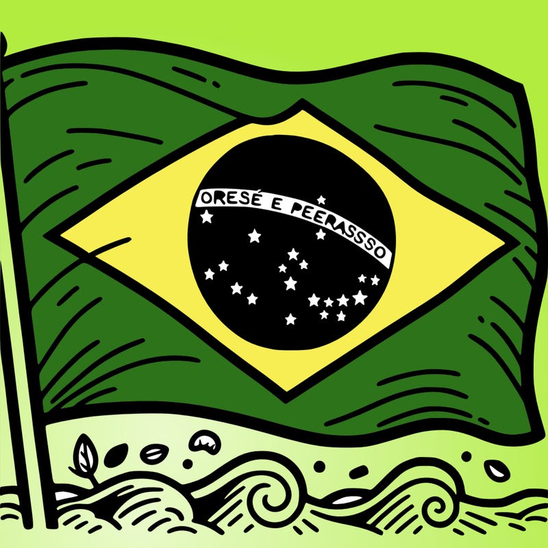 brazil flag