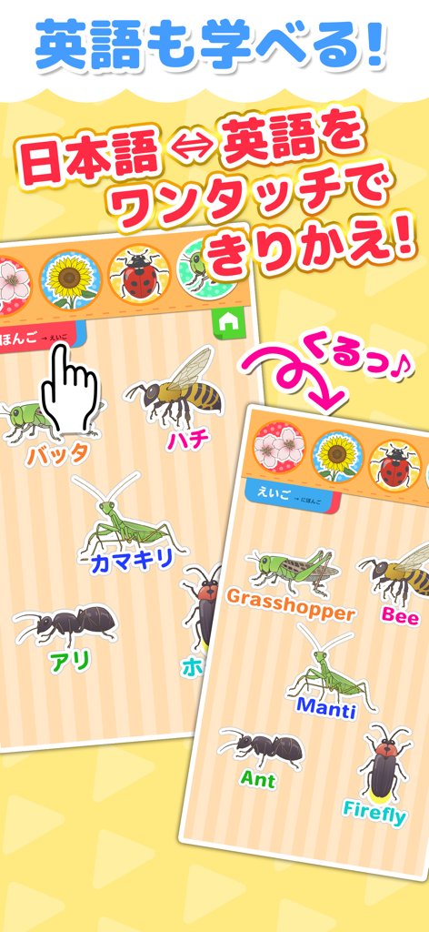 植物・昆虫なあに？ - タッチ図鑑シリーズ - Interfaz de la aplicación que muestra la función para cambiar entre nombres de insectos como saltamontes y abejas en japonés e inglés.
