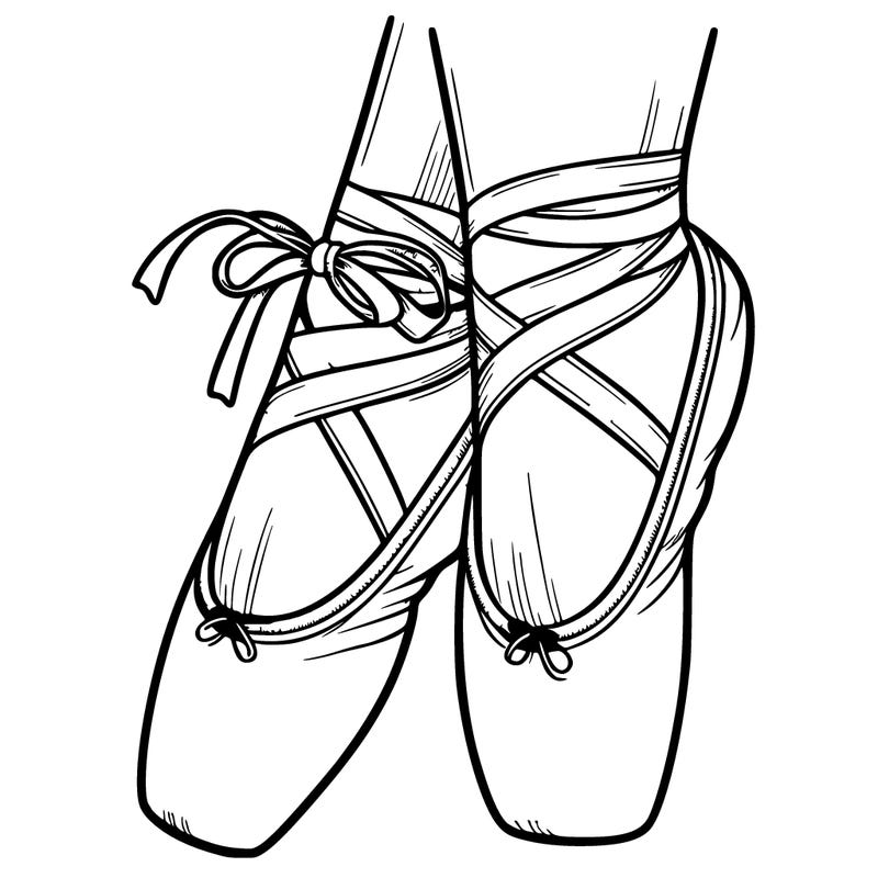 beautiful ballet point shoes