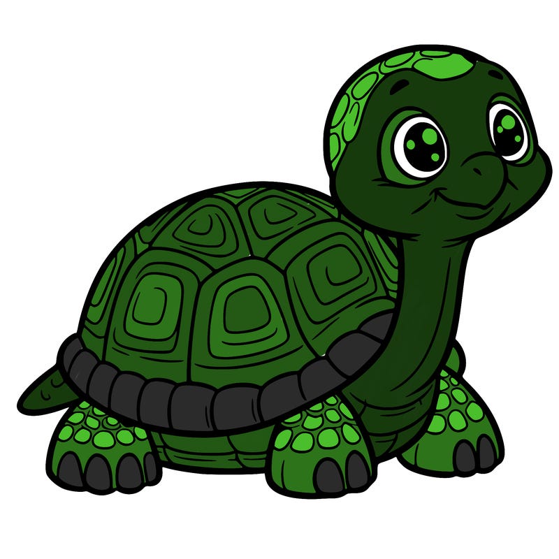 tortoise