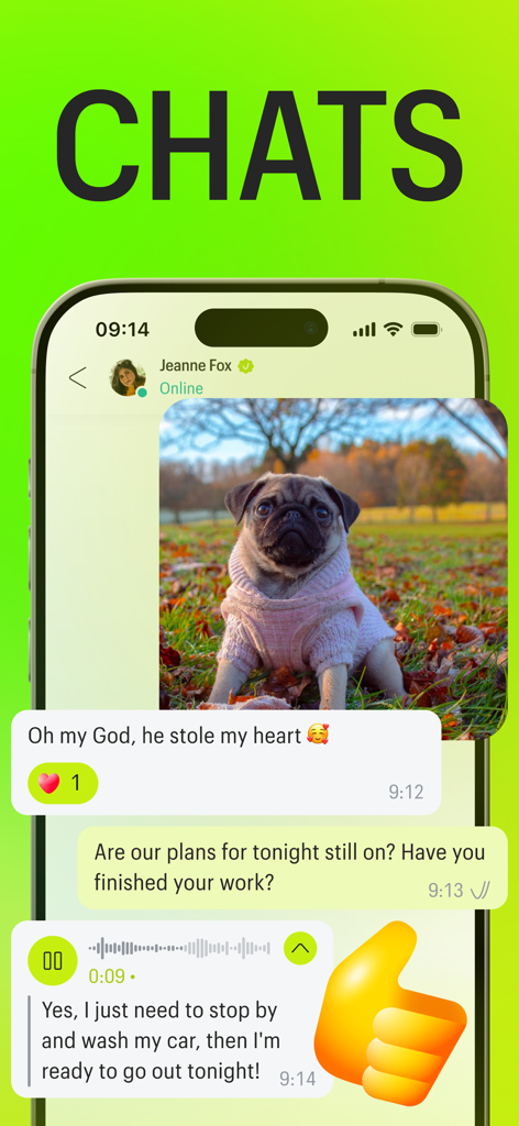 Meera: Geo-social network - Schermata di chat dell'app Meera che mostra una conversazione con messaggi di testo, una foto di un cane e la trascrizione di un messaggio vocale