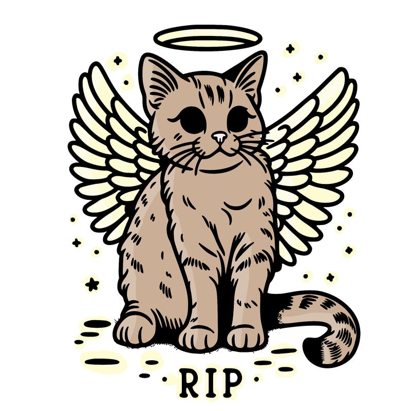 rip cat realistic cat with angel wings