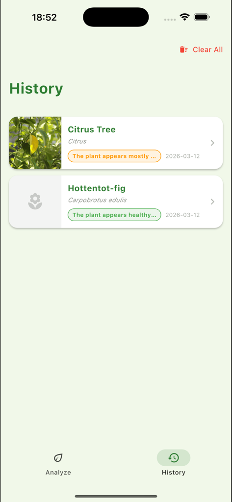 Plantia – AI Plant Identifier - A list of recently identified plants and their health status in the Plantia app history section