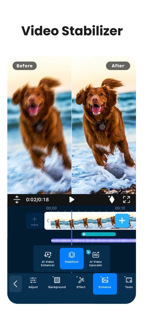 Before and after comparison of a video stabilized with PowerDirector showing a dog running on a beach