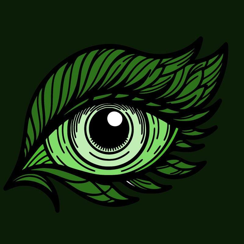 eye