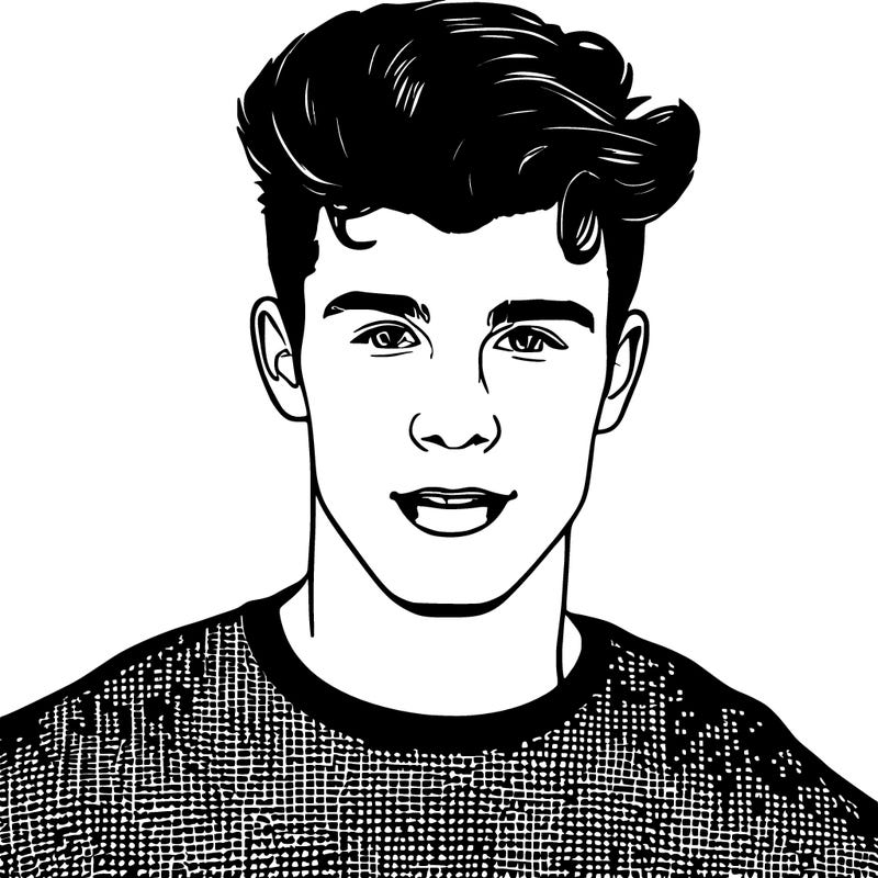 shawn mendes
