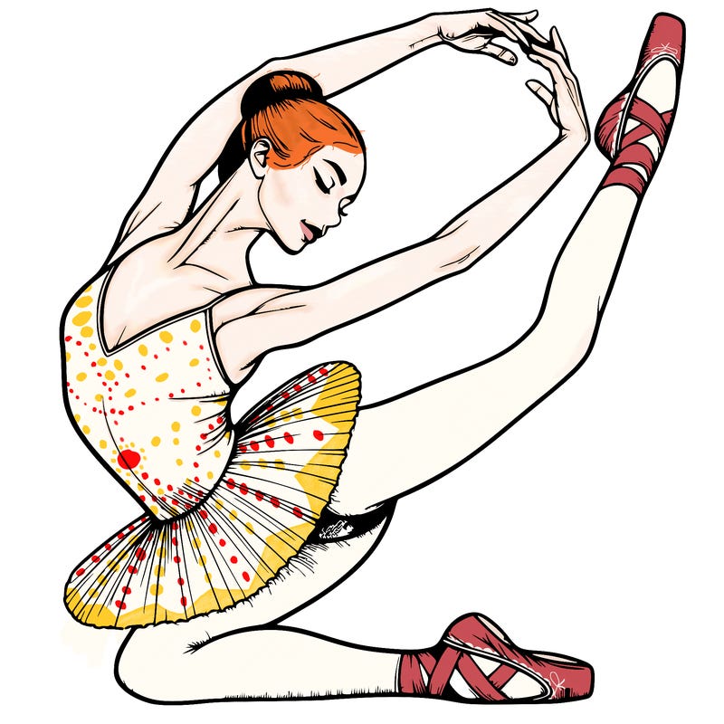 realistic ballerina plie