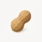 Nota app icon