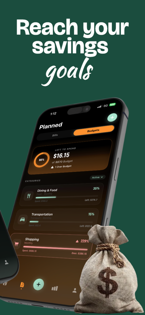 Fint app screen showing monthly budget tracking by category and a reach your savings goals message