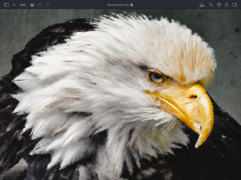 Brushstroke Pro for iPad - A realistic digital oil painting of a bald eagle's head created with Brushstroke Pro on iPad