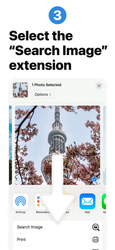 Reverse Image Search: Eye Lens - Instructional screen showing how to select the Search Image extension in the iOS share sheet.
