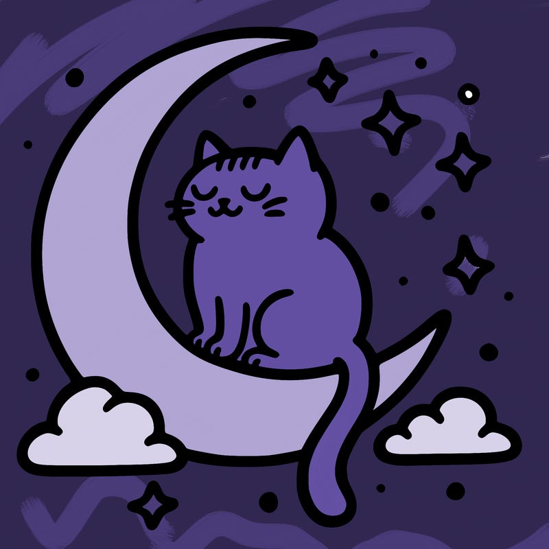 simple cat on a moon