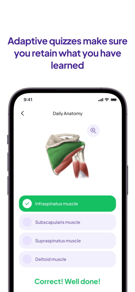 Daily Anatomy Flashcards - Interfaz de la aplicación Daily Anatomy mostrando un cuestionario de identificación de músculos anatómicos con una respuesta correcta.