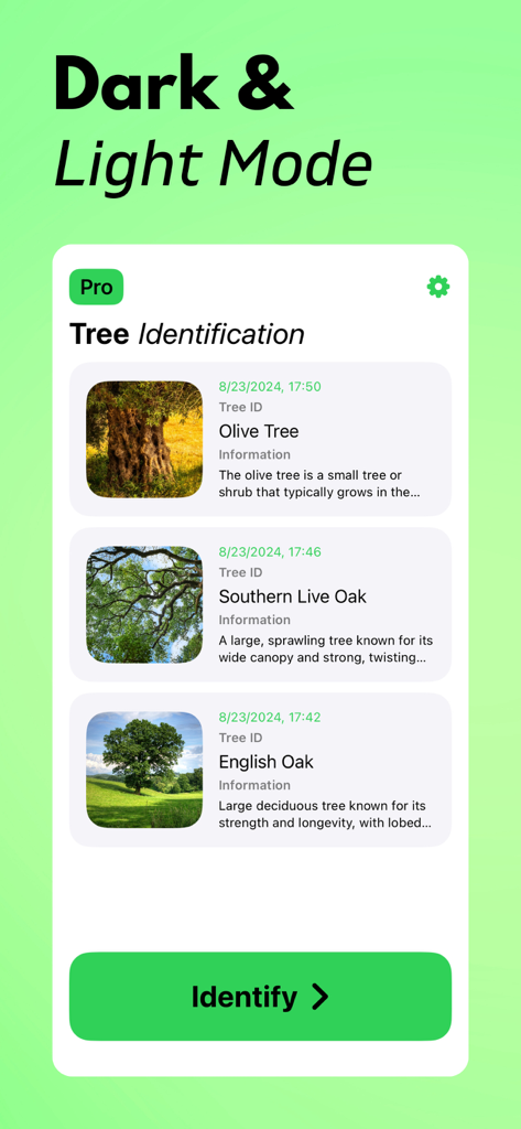 Lista de histórico de identificação de árvores no aplicativo TreeIQ mostrando espécies identificadas como Oliveira e Carvalho Inglês