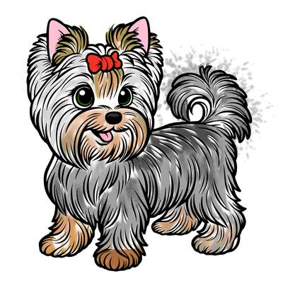 yorkie dog