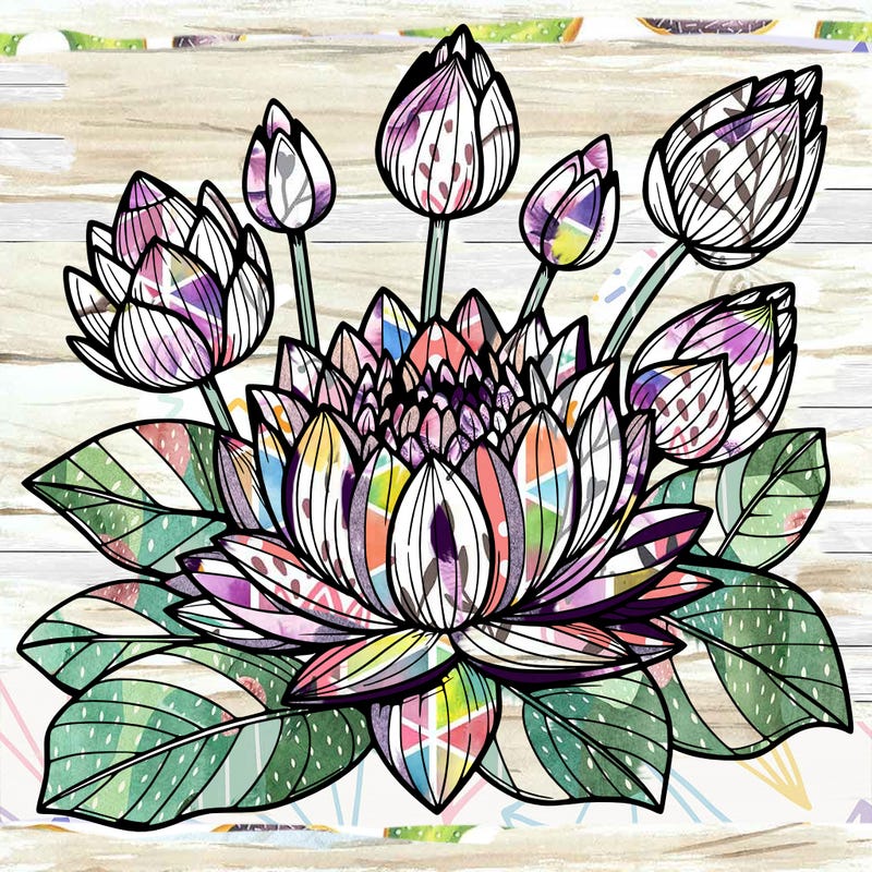 lotus flower