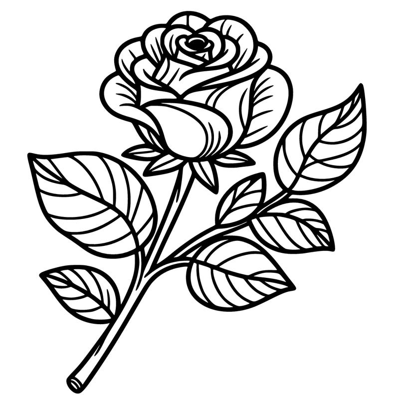 a rose