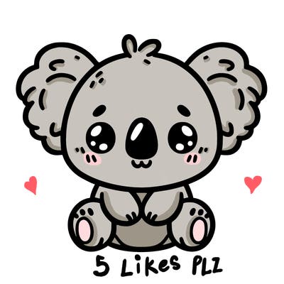 cute koala