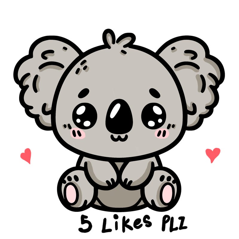 cute koala