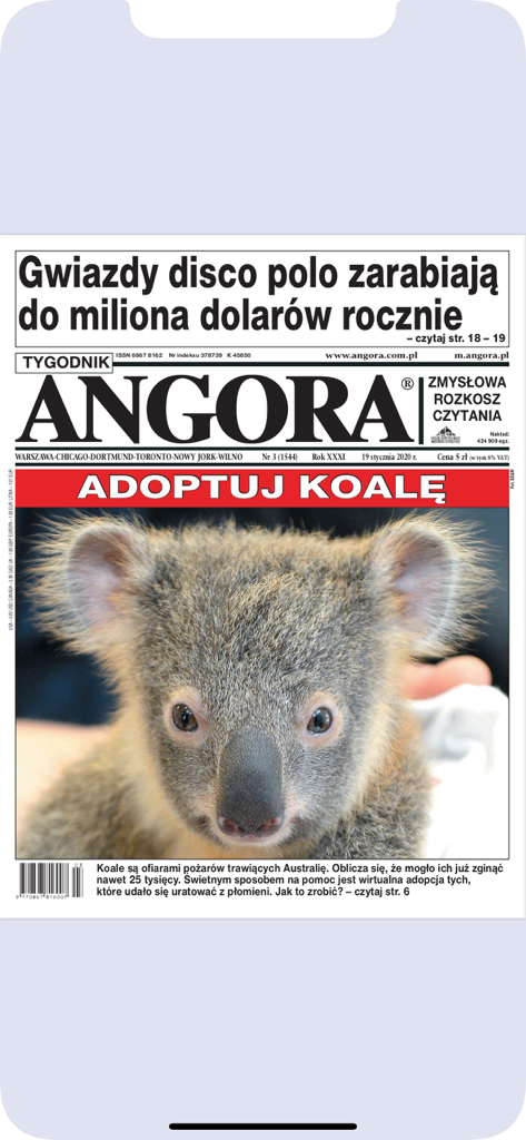 Tygodnik ANGORA - Tygodnik Angora magazine cover featuring a koala and headlines in Polish