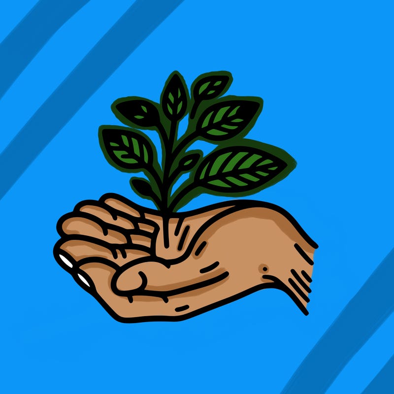 hand with plant
