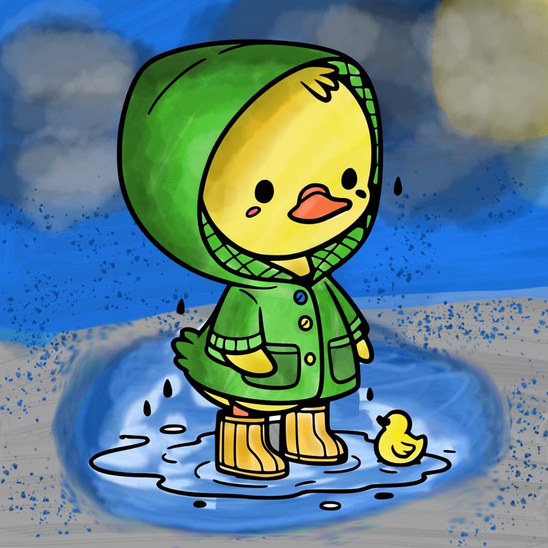 baby duck in a rain coat and boots, in a puddle while it’s raining