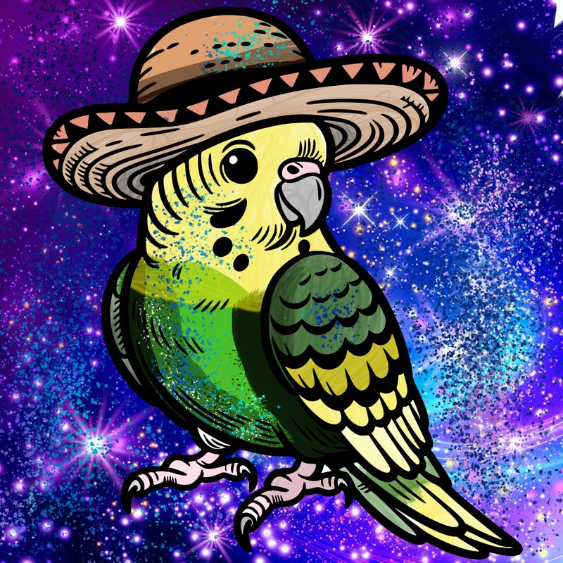 parakeet bird with hat