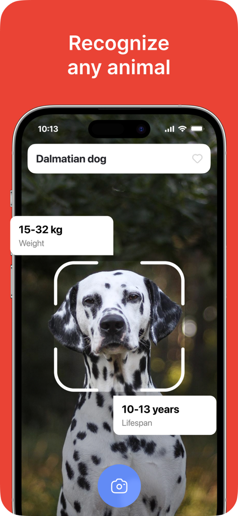 A screenshot of the Lens Photo Scan app identifying a Dalmatian dog with breed details.