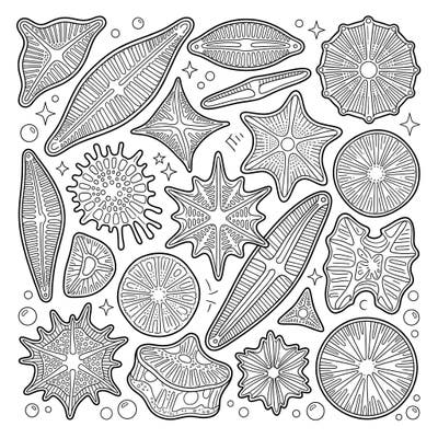 Unleash your creativity with this vibrant Pop Art coloring page featuring fascinating diatoms! Designed for young explorers aged 4-8, it offers a perfect blend of scientific wonder and artistic fun.