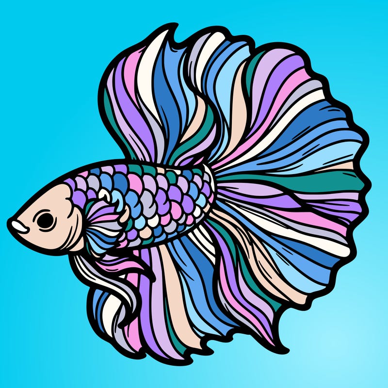 betta fish