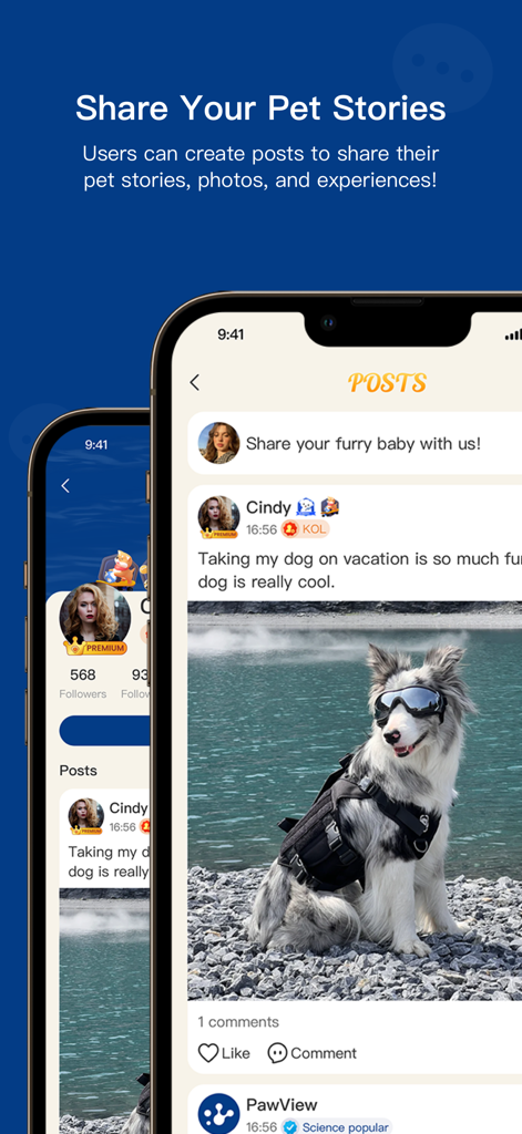 PawView app interface showing a social feed for users to share pet stories and photos