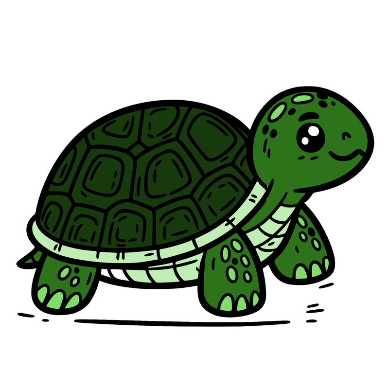 turtle