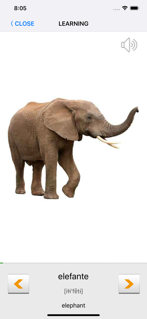 Learn Portuguese words with ST - Tarjeta de memoria de aprendizaje de idiomas portugués que muestra un elefante con la palabra elefante y su traducción al inglés