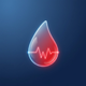 Blood Sugar Tracker: EasyGluco
