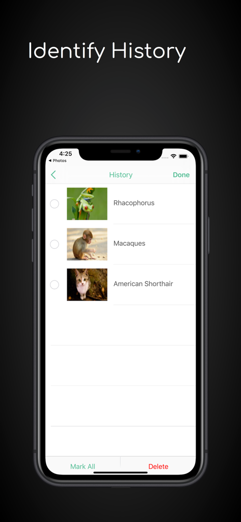 ianimal - animal Identifier - A screen showing the history of identified animals including a frog a monkey and a cat in the ianimal app