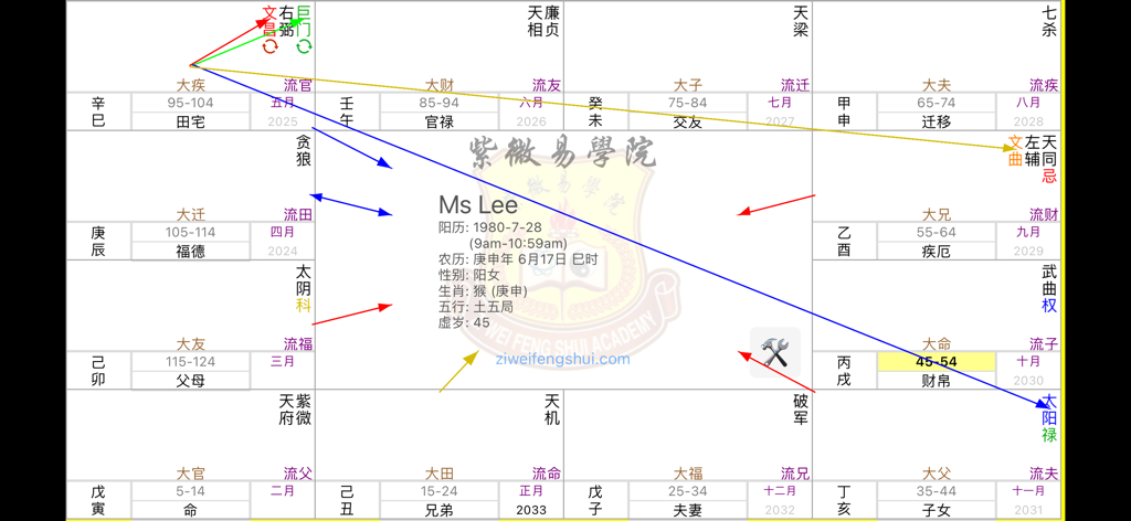 四化飞星 - 12の宮殿、色付きの飛星ラインインジケーター、技術的な運命データを示すプロフェッショナル紫微斗数占星術チャートインターフェース。