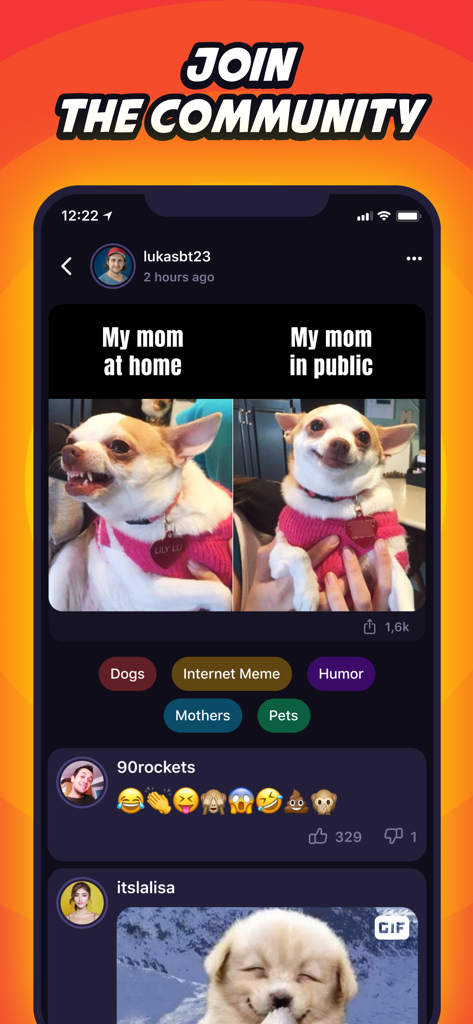 MegaLOL: Funny Videos & Memes - Captura de pantalla de la aplicación MegaLOL que muestra un feed de memes divertidos de chihuahua con comentarios de la comunidad y etiquetas