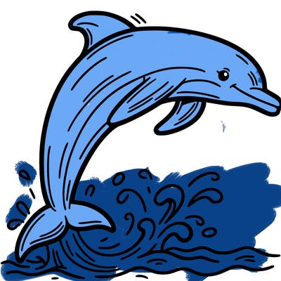 dolphin