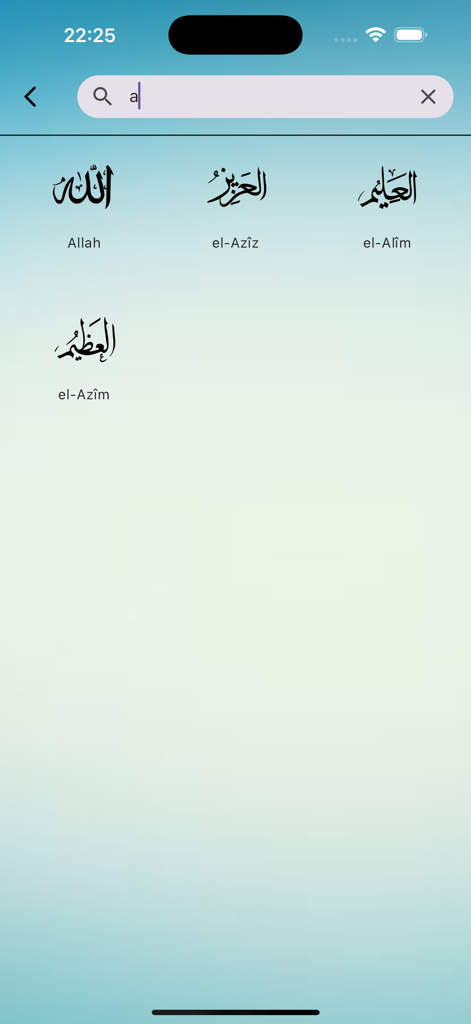 Esmâ'ül Hüsna - Un écran de recherche dans l'application Esmaul Husna montrant des noms d'Allah tels qu'el-Aziz et el-Alim en calligraphie arabe avec translittération anglaise.